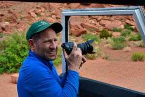 Ant selects composition