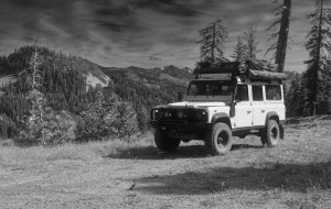 Angus at Barker Ridge